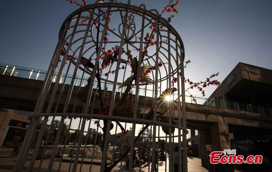 A huge birdcage with artificial flowers, trees and birds inside is displayed to promote environmental protection and green lifestyle at a square in Nanjing, the capital city of East China's Jiangsu Province, May 12, 2013. (CNS/Yang Bo)