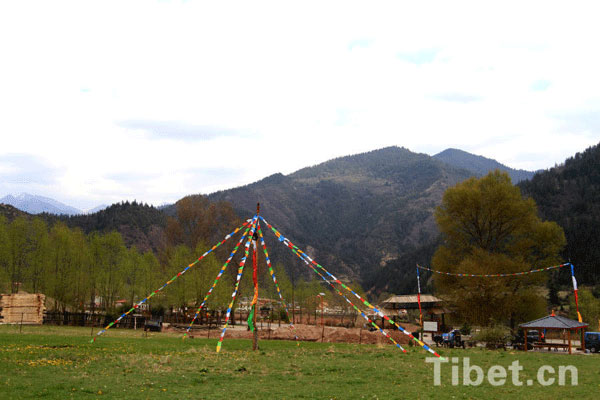 The prayer flags can be seen everywhere in the village. [Photo/China Tibet Online]