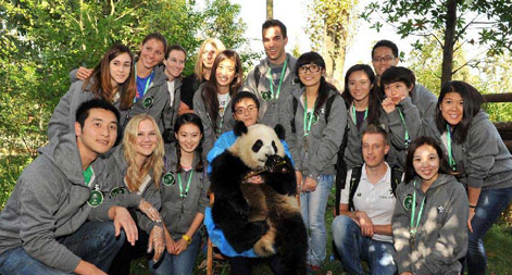 Cutest job in the world? Chengdu finds panda ambassadors