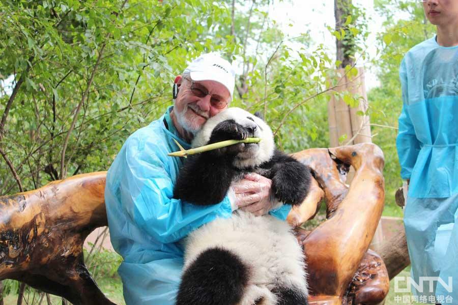 Guests of 2013 Fortune Global Forum visits Chengdu Research Base of Giant Panda Breeding