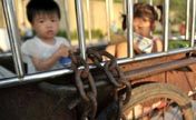 Girls locked in cage-like tricycle on way home 