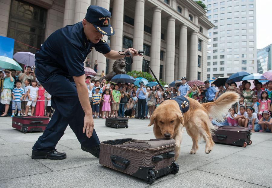 Children watch a detection dog performing during an "open day" of the Customs in Guangzhou, capital of south China's Guangdong Province, June 23, 2013. An "open day" activity was held here for the residents to know about the works of drug-sniffing dogs. (Xinhua/Mao Siqian)  
