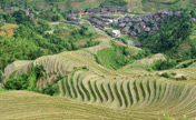 Terraced fields in southwest China