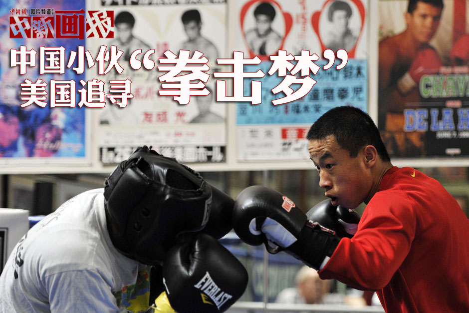 With the rapid development of boxing in China, more Chinese professional boxers have gone overseas for training. When the famous Chinese Olympic champion Zou Shiming starts his training in the U.S. and fights his way in professional boxing, another Chinese professional boxer Yang Lianhui, who became a professional boxer very early and earned the title of the WBO Asia Flyweight Champion, is also pursuing his dream in the U.S. (CNS/Mao Jianjun)