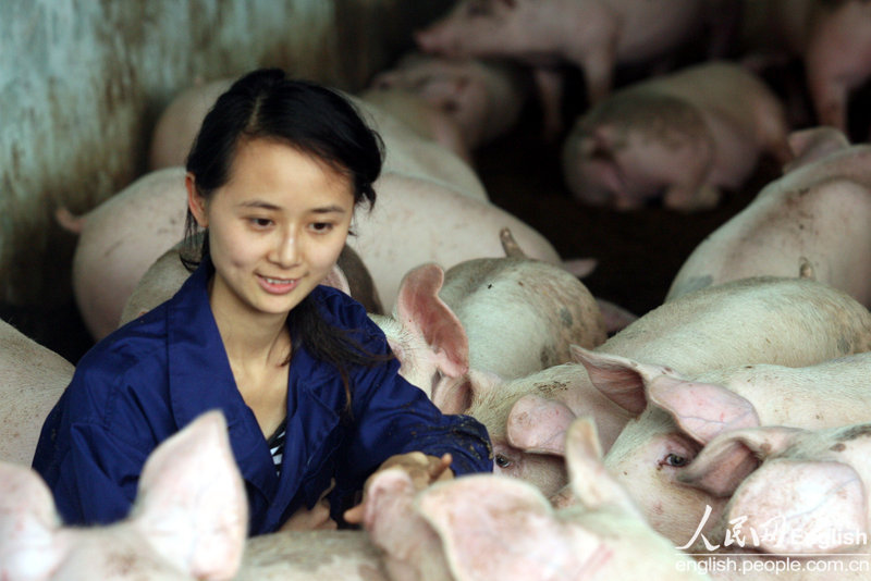 Chen Juan poses for a photo with her pigs on Nov. 4, 2008. She decided to work at the pig breeding base in Changsha, Hunan province after graduating from university. (Photo/CFP) 
