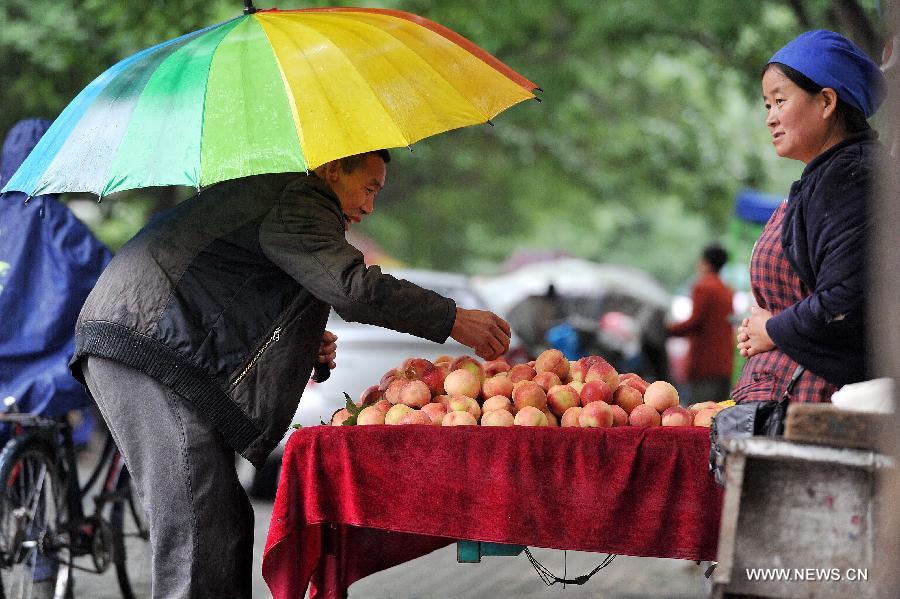 A citizen selects fruits at a market in Yinchuan, capital of northwest China's Ningxia Hui Autonomous Region, July 9, 2013. China's consumer price index (CPI), a main gauge of inflation, grew 2.7 percent year on year in June, up from 2.1 percent in May, the National Bureau of Statistics said on Tuesday. (Xinhua/Peng Zhaozhi) 