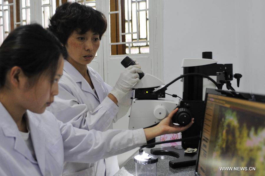 Liu Jiping (back), an expert on cultural relics preservation, checks the damage of a historial relic with a microscope at the relics conservation center of the museum of Tianshui City, northwest China's Gansu Province, July 15, 2013. A total of six cultural relics preservation experts of the museum conduct the conservation work on relic items here. They use modern technology as well as traditional handicraft to repair and restore cultural relic fragments and damaged bronze wares. (Xinhua/Chen Bin)