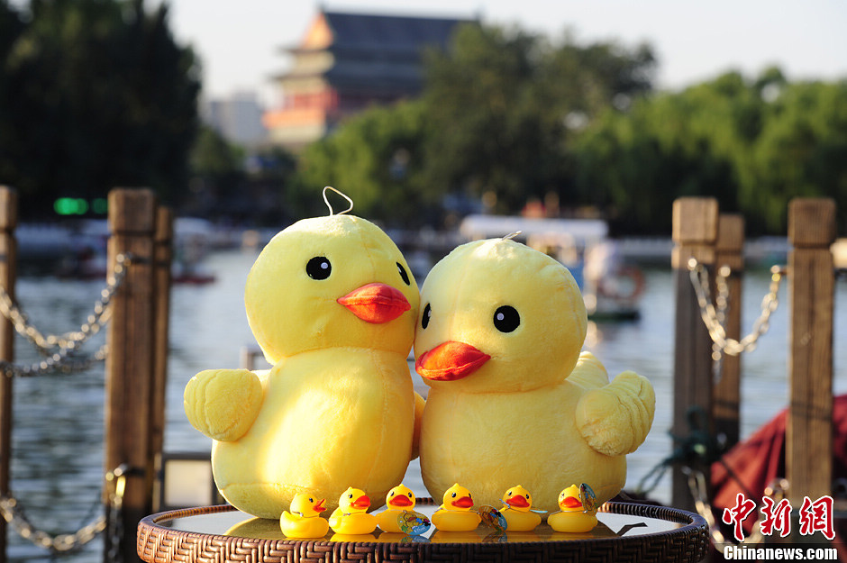 Little rubber ducks are “invited” to board the boats in Beijing's Shichahai Lake, July 16, 2013. The recent news saying that the Rubber Duck will visit Beijing this September has attracted Robber Duck fans’ attention. As one of the candidate places to host the Robber Duck, Shichahai Lake organized some events to welcome the Robber Duck. People who book group boat tickets online and take photos with little rubber ducks on the boat will get an authentic Rubber Duck doll. (Photo/Chinanews)