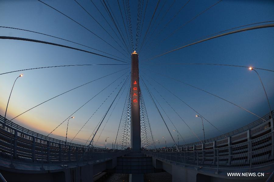 Photo taken on July 17, 2013 shows the night scenery of the Jiashao Bridge which connects Jiaxing and Shaoxing in east China's Zhejiang Province. As the second cross-sea bridge spanning across the Hangzhou Bay, the Jiashao Bridge will be officially opened to traffic on July 19. It will halve the travel time from Shaoxing to east China's Shanghai. (Xinhua/Xu Yu) 