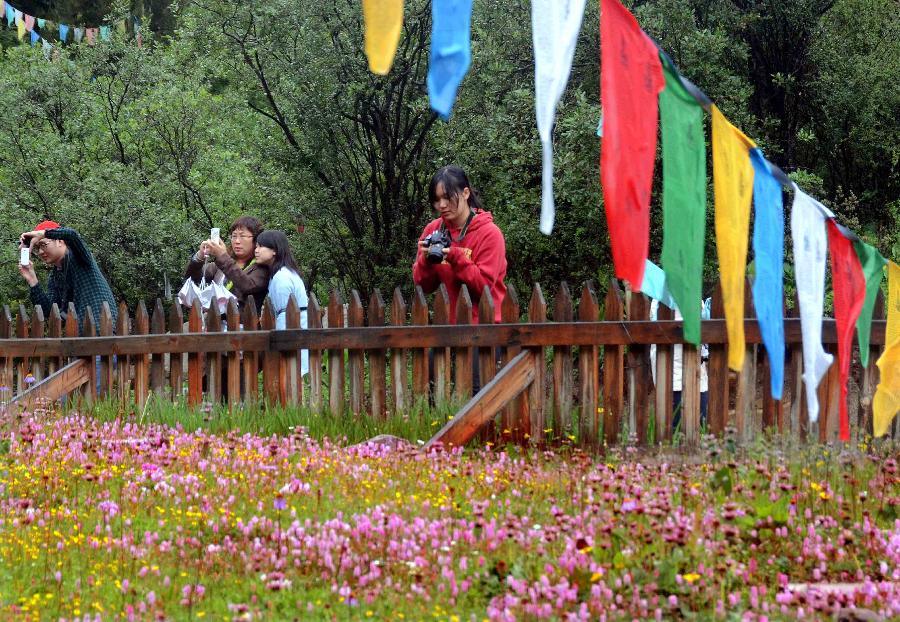 Visitors take photos of the flowers in a tourist attraction in Nyingchi, southwest China's Tibet Autonomous Region, July 20, 2013. (Xinhua/Wang Song) 