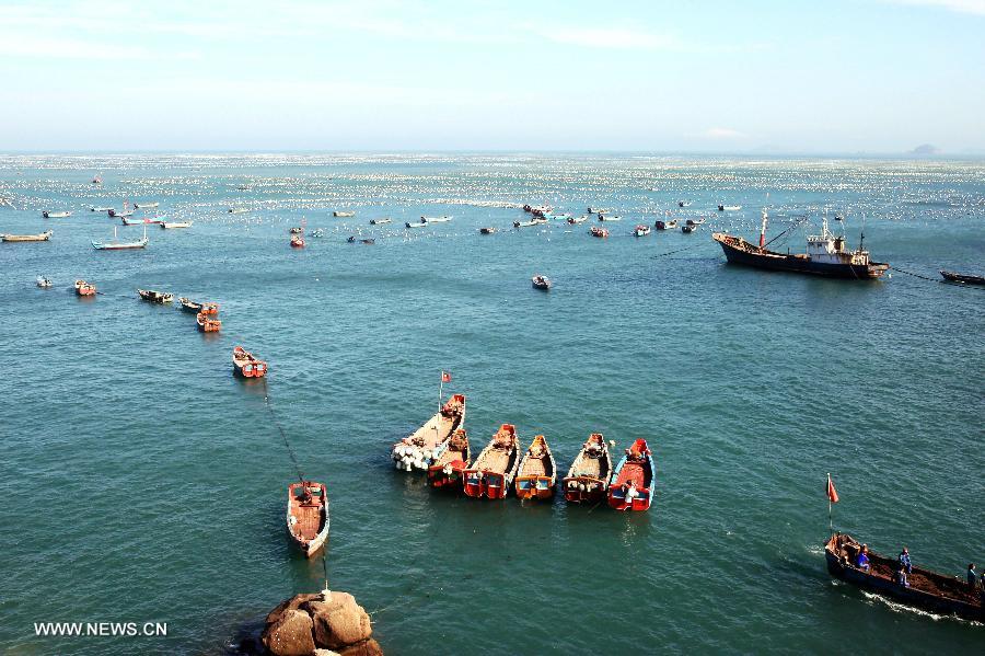 Villagers at sea prepare to harvest mussels in Gouqi Township of Shengsi County in Zhoushan City, east China's Zhejiang Province, July 23, 2013. Shengsi County had more than 1,333 hectares of water areas to breed mussels with a production value topping 100 million yuan (15.47 million US dollars) in 2012. The mussel breeding has become a main source of income for local people. (Xinhua/Xu Yu) 