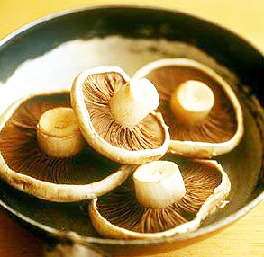 Mushroom (file photo)