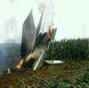 Military plane crashes in NE China