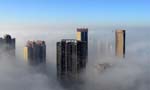 Splendid views of cities blanketed with fog 