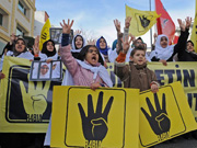 Morsi's supporters protest against Egyptian military in Turkey