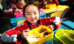 "Free lunch" program initiated in NW China 
