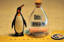 10 sailors of Chinese research vessel Xuelong release "love drift bottles" in Antarctica