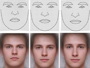 Man's face betrays his IQ: research confirmed