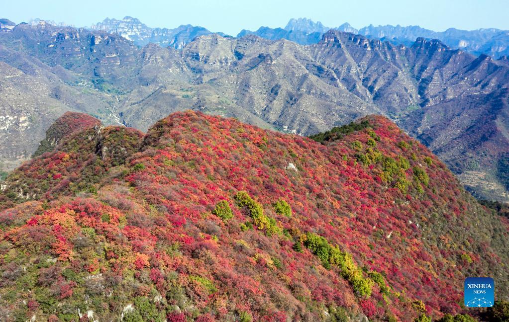 Autumn scenery at Baiyun mountain scenic spot in Wuan, Hebei