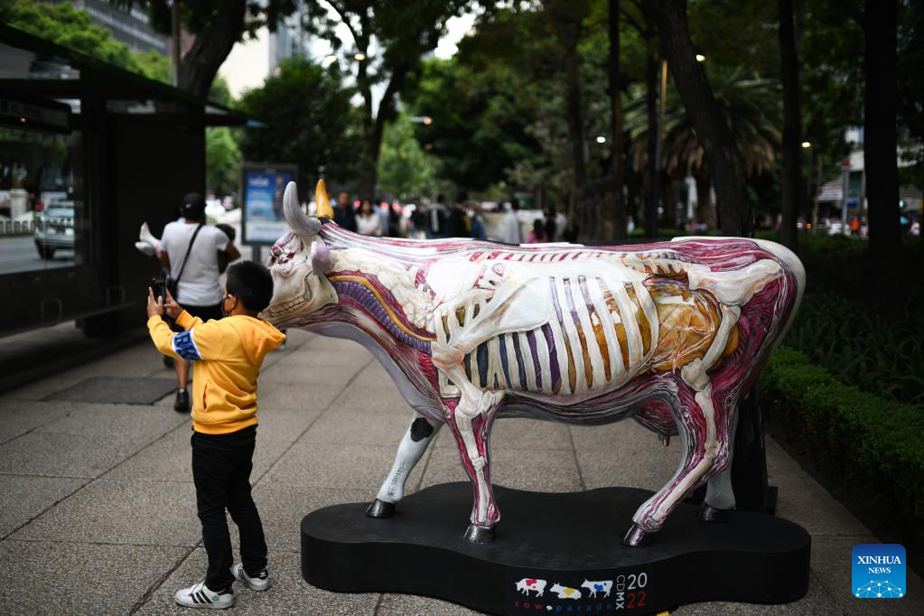 In pics: CowParade event in Mexico City, Mexico